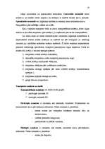 Referāts 'Loģistika, viss kurss', 19.