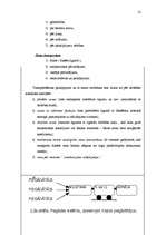 Referāts 'Loģistika, viss kurss', 21.