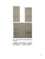 Referāts 'Civilās karkasa ēkas', 4.