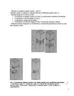 Referāts 'Civilās karkasa ēkas', 5.