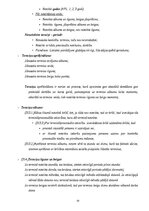 Konspekts 'Kriminālprocesa vispārējie jautājumi: mērķis, principi un institucionālais ietva', 55.