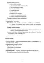 Konspekts 'Kriminālprocesa vispārējie jautājumi: mērķis, principi un institucionālais ietva', 91.