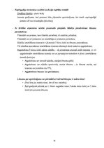 Konspekts 'Kriminālprocesa vispārējie jautājumi: mērķis, principi un institucionālais ietva', 95.