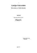 Referāts 'Oligopols', 1.