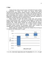 Prakses atskaite 'AS "Citadele banka" prakses atskaite', 33.