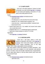 Referāts 'Norēķinu kartes un darbības ar tām', 28.