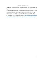 Eseja 'Kas ir dzīvesspēks?', 4.