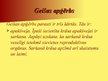 Prezentācija 'Geiša', 21.