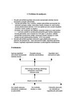 Konspekts 'Situācijas analīze par administratīvi teritoriālās reformas gaitu', 3.