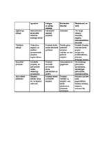 Konspekts 'Situācijas analīze par administratīvi teritoriālās reformas gaitu', 11.