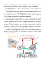 Referāts 'Vides aizsardzības pasākumi lauksaimniecībā - augkopībā', 7.