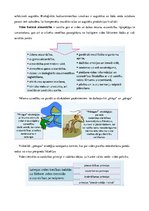 Referāts 'Vides aizsardzības pasākumi lauksaimniecībā - augkopībā', 26.