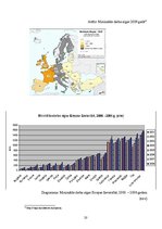 Referāts 'Darba samaksas ietekme uz migrāciju', 20.