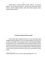 Referāts 'Ministru kabineta struktūra un kompetence', 16.