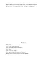 Referāts 'Pusaudžu depresija', 22.