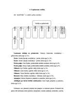 Biznesa plāns 'SIA "Gardums"', 8.