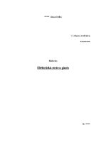 Referāts 'Elektriskā strāva gāzēs', 1.