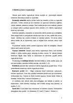 Referāts 'Mācību procesa organizācijas pilnveidošana', 5.