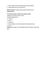 Referāts 'Vecākā pirmsskolas vecuma bērnu intelektuālā gatavība skolai', 9.