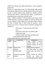 Referāts 'Vecākā pirmsskolas vecuma bērnu intelektuālā gatavība skolai', 12.