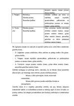 Referāts 'Vecākā pirmsskolas vecuma bērnu intelektuālā gatavība skolai', 13.