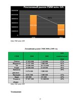 Referāts 'Исследование рынка рекламных услуг Латвии 2008-2009', 17.