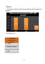 Referāts 'Исследование рынка рекламных услуг Латвии 2008-2009', 20.