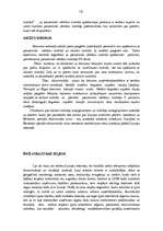 Referāts 'Īpašie nodokļu režīmi Latvijas Republikā', 19.