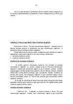 Referāts 'Īpašie nodokļu režīmi Latvijas Republikā', 23.