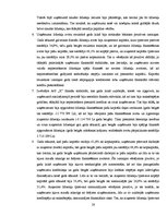 Referāts 'A/s "X" finanšu analīze', 28.