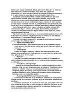 Referāts 'Jumta segumi', 3.