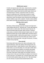 Referāts 'Jumta segumi', 4.