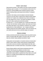 Referāts 'Jumta segumi', 19.