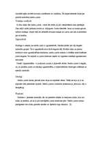 Referāts 'Jumta segumi', 25.