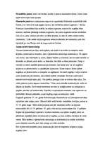 Referāts 'Jumta segumi', 30.