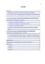 Prakses atskaite 'A/S "Lielais Kristaps" finanšu analīze', 2.