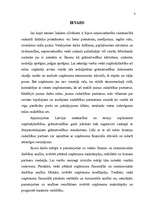 Prakses atskaite 'A/S "Lielais Kristaps" finanšu analīze', 3.