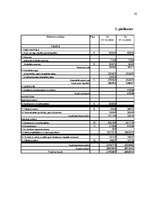 Prakses atskaite 'A/S "Lielais Kristaps" finanšu analīze', 30.