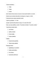 Konspekts 'Pirkšanas lēmuma pieņemšanas posmi un firmu mārketinga aktivitāšu ietekme', 2.