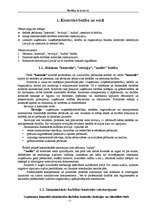 Konspekts 'Revīzija un kontrole', 3.