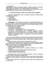 Konspekts 'Revīzija un kontrole', 5.