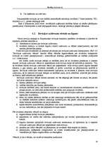 Konspekts 'Revīzija un kontrole', 30.