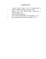 Referāts 'Reģionālās politikas pamatprincipi Vācijā', 11.