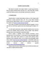 Eseja 'Valsts loma ekonomikā, nodokļi un gaidas', 3.