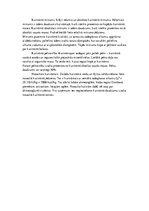 Referāts 'Kurināmais, degviela un degšanas teorija', 6.