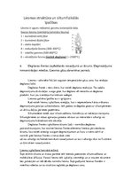 Referāts 'Kurināmais, degviela un degšanas teorija', 17.