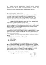 Referāts 'Kurināmais, degviela un degšanas teorija', 23.