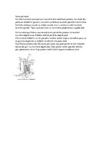 Referāts 'Kurināmais, degviela un degšanas teorija', 26.