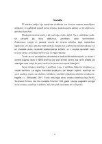 Referāts 'Zemo izmaksu aviotransports', 3.