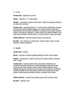 Prakses atskaite 'Bolderājas mūzikas un mākslas skola', 3.